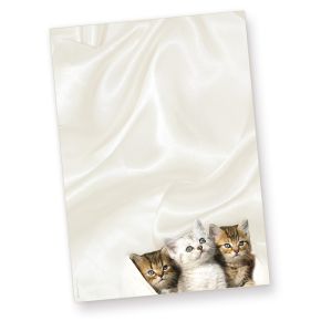 Briefbogen Katzen (1.000 Stück)