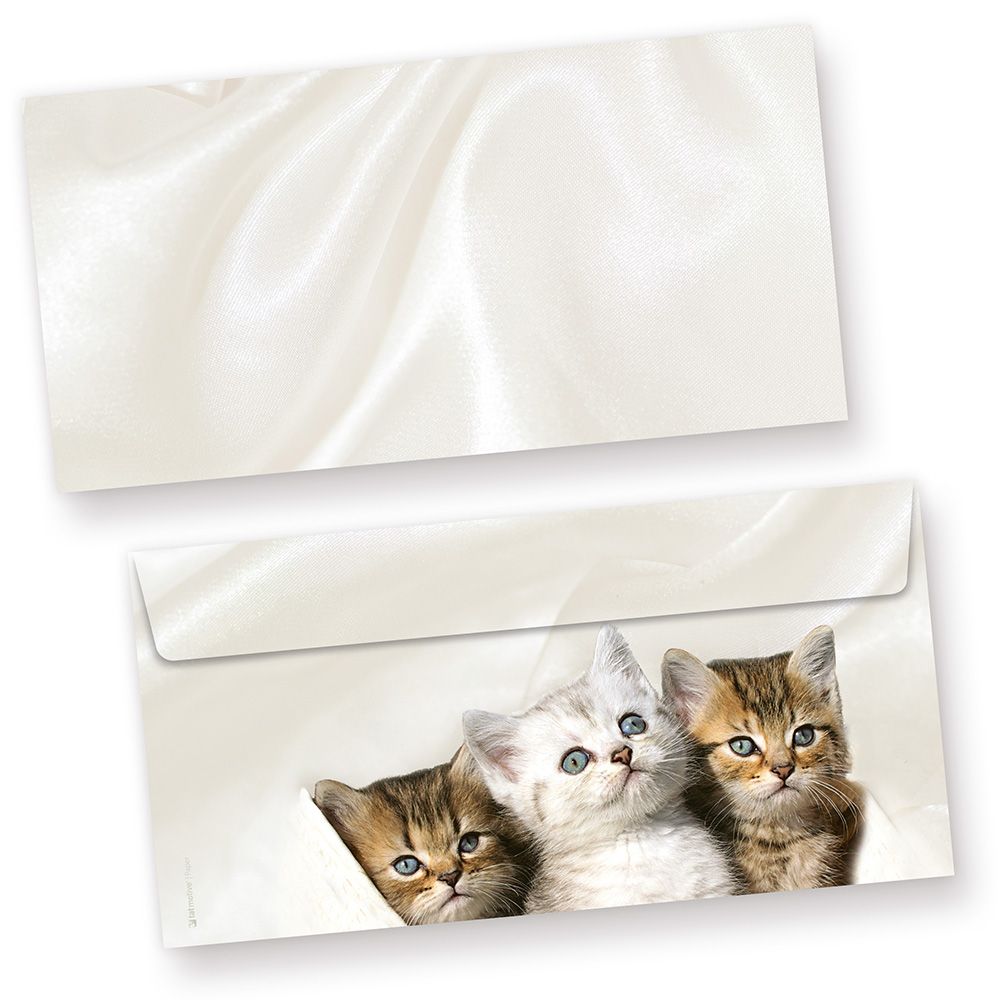 Briefumschl ge Katzen 50 St ck 3 K tzchen Tatmotive de Briefumschlaege