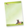 Briefpapier Osterhase (100 Blatt) schönes Motivpapier Ostern DIN A4 90g farbig, selbst bedruckbar