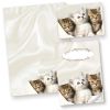 Katzen Briefpapier (50 Blatt) Motivpapier A4 90g inkl. 3 Postkarten + Schreibblock