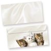 Briefumschläge Katzen (250 Stück) 3 Kätzchen