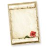 Tatmotive Schönes Briefpapier ROTE ROSE (50 Blatt) für romantische Liebesbriefe