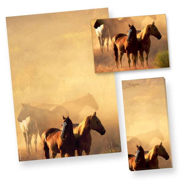 Briefpapier Pferde A4 (50 Blatt) beidseitig DIN A4 90g, inkl. Postkarten + Notizblock