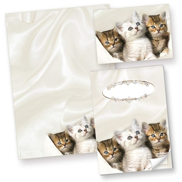 Motivpapier Katzen (100 Stück) Briefpapier, inkl. 3 Postkarten + Schreibblock