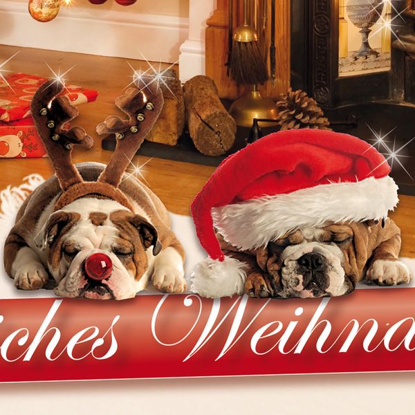 Weihnachtskarten Set 8 Stück Fotokarte Hund Frohe Weihnachten mit Umschlag 
