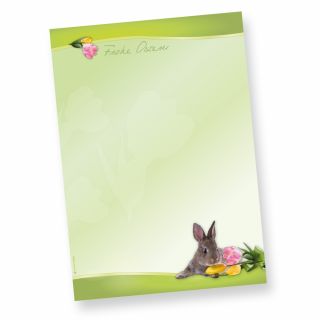 Briefpapier Osterhase (50 Blatt) schönes Motivpapier Ostern DIN A4 90g farbig, selbst bedruckbar