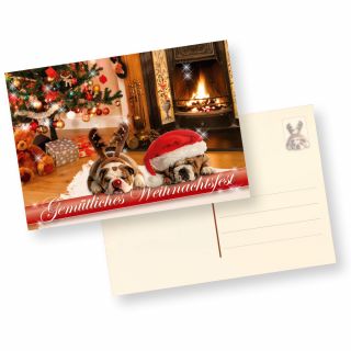 Postkarten Weihnachten Drollige Hunde (10 Stück) Gemütliche Weihnachtspostkarten mit Hundemotiv