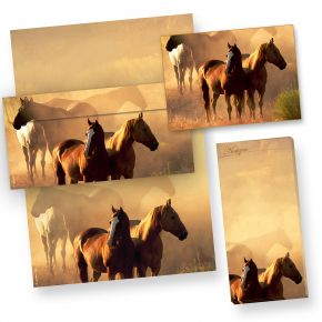 Briefpapier Pferde Set (25 Sets) beidseitig DIN A4, 25 Briefbogen + 25 Umschläge, inkl. Postkarten + Notizblock