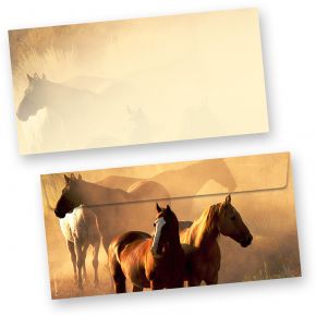 Briefumschläge Pferde (50 Stück)